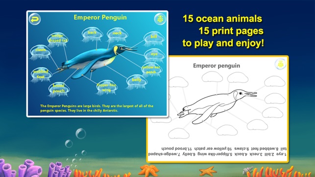 Amazing Ocean Animals- Educational Learning Apps for Kids Fr(圖2)-速報App
