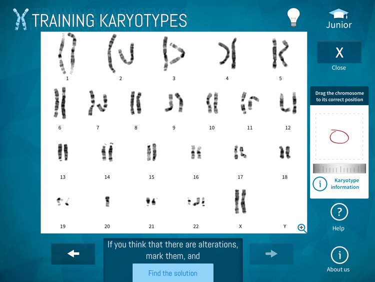Training Karyotypes Lite