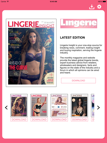 Lingerie Insight