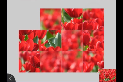 Скриншот из Nature 2 - Jigsaw and Sliding Puzzles