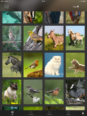 Animal Explorer Free: Sounds and Photos iPad screenshot 4 - Education app