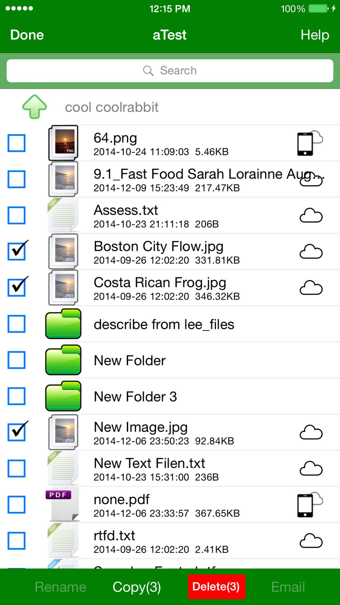 Rich Text and File Manager
