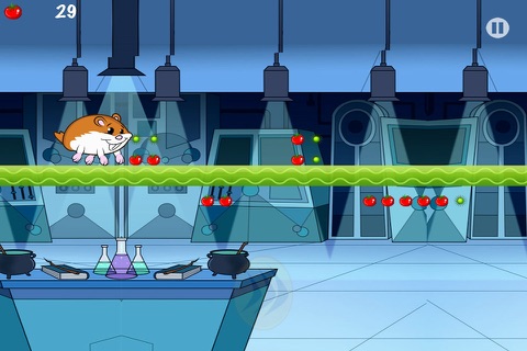 Hammy the Super Pet Hamster Runner Pro screenshot 2