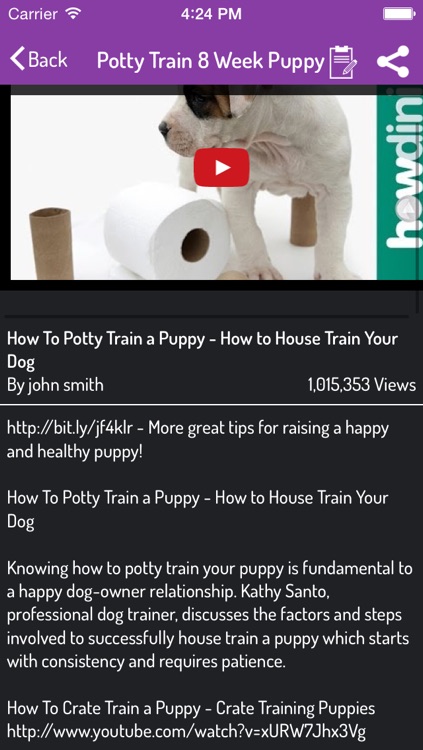 Potty Training Guide For Puppy