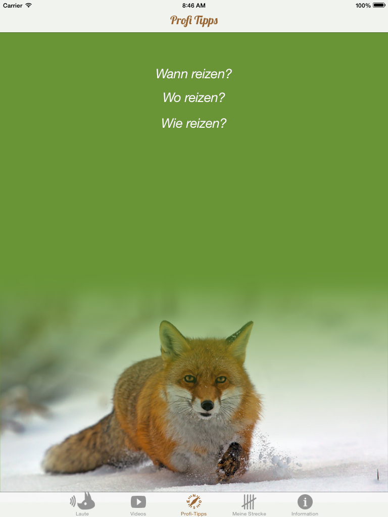 Fuchs Jagd