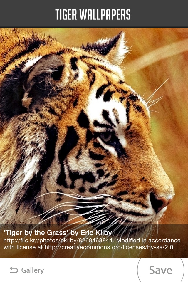 Tiger Wallpaper screenshot 2