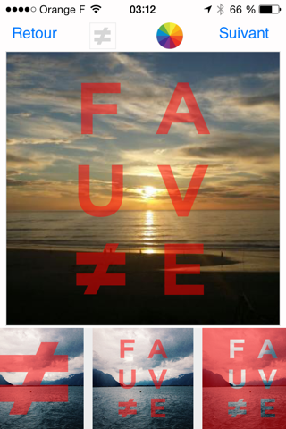 FAUVE screenshot 3