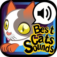 The Best Cats Sounds