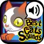 The Best Cats Sounds