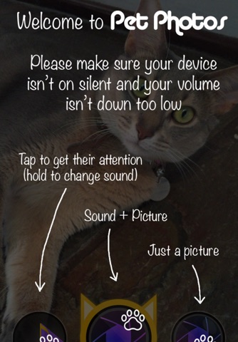 Pet Photos screenshot 2