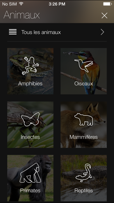 Screenshot #2 pour Animaux du Monde Gratuit : Sons et Photos
