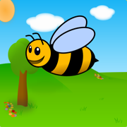 RandomApp Pro