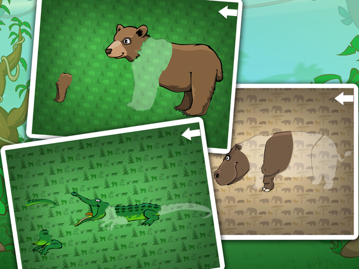 Wild animals in the forest the jungle and the savannah