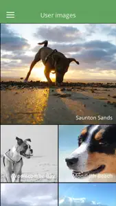 The Dog Spot Beach Guide screenshot #5 for iPhone