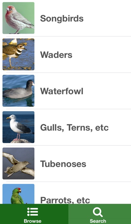 California Birds screenshot-4