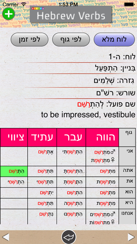 #5. Hebrew Verbs & Conjugations | PROLOG (iOS) 게시자: Prolog LTD