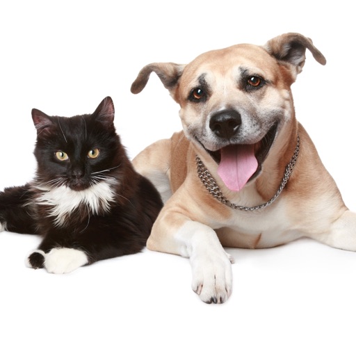 Cats And Dogs Encyclopedia icon