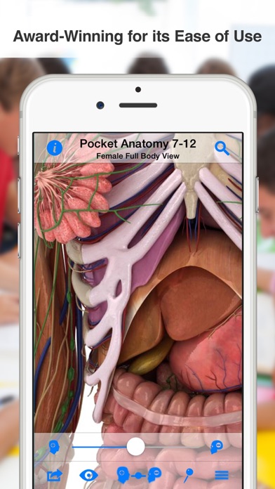 Screenshot #2 pour High School Anatomy