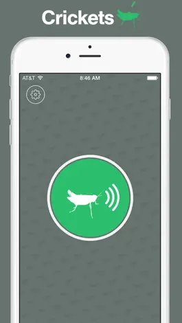 Game screenshot Crickets mod apk