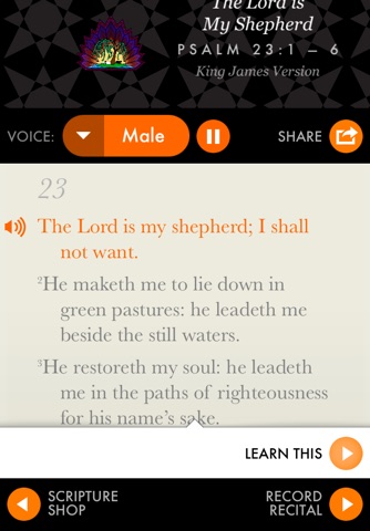 Bible Verses By Heart screenshot 3