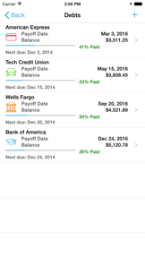Debt Strategy Lite screenshot