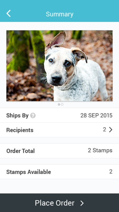 Divvy Mobile screenshot