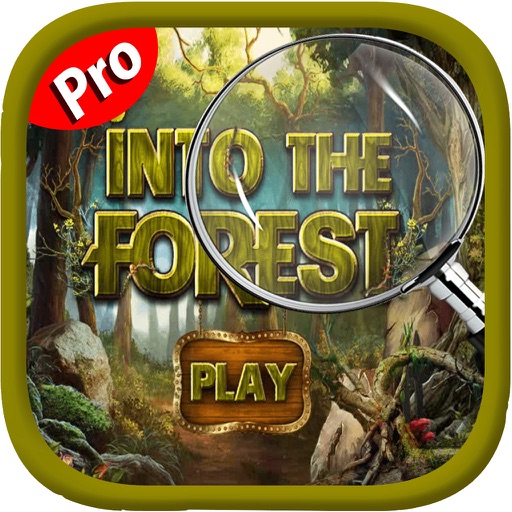 Hidden Object - Into The Forest Mysteries Icon