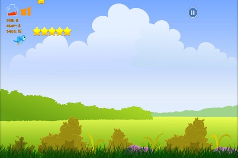 Amazing Tiny Birds - Angry Flying Birdy Rush screenshot 3