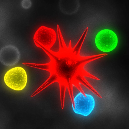 Bio Domination - Toan Truong