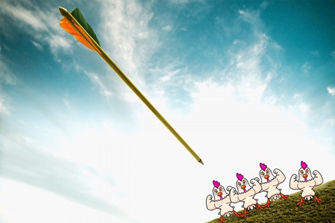 Hungry Archer - bow and arrow archery chicken shooting game screenshot 2