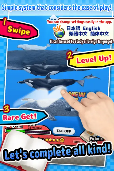 Whales & Dolphins of the World -Simple Pictorial Book Kids Game 