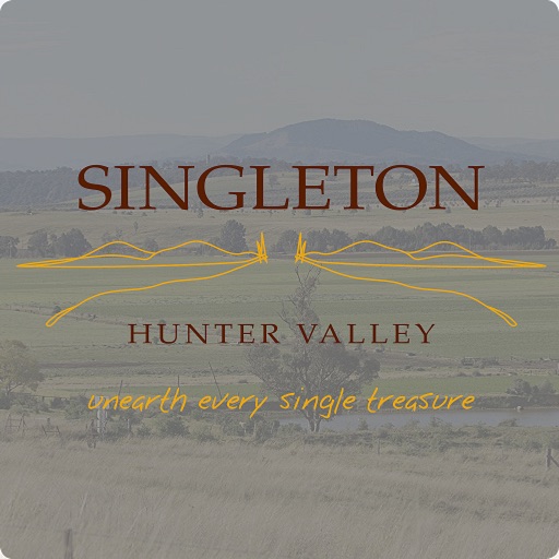 Visit Singleton