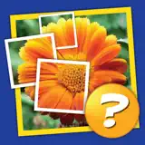 Mosaic: Tap the pic, guess the word! - アプリアイコン