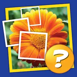 Mosaic: Tap the pic, guess the word! app icon