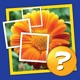 Mosaic: Tap the pic, guess the word! app icon - Games app for iPhone