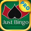 Just Bingo PRO - Play Online Casino and Number Card Game for FREE !