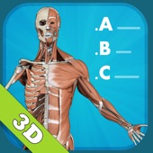App icon for Anatomy Quiz - muscles and bones by GraphicVizion
