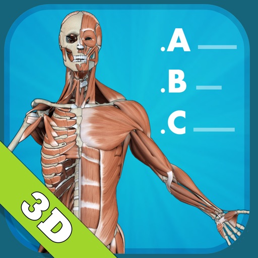 Anatomy Quiz - muscles and bones icon