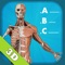 Test yourself and simultaneously learn the (Latin) names of all bones & muscles