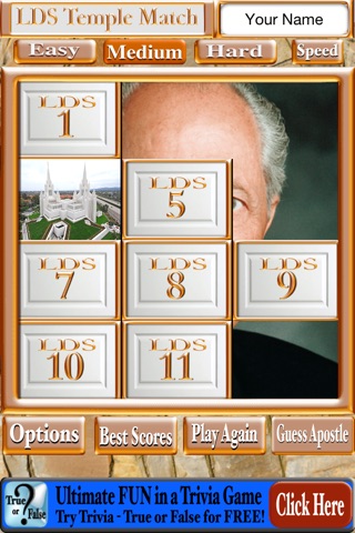 LDS Temple Match screenshot 4