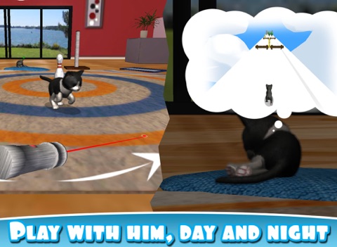 Screenshot #6 pour Daily Kitten : virtual cat pet