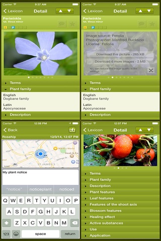 Medicinal Plant Lexicon screenshot 4