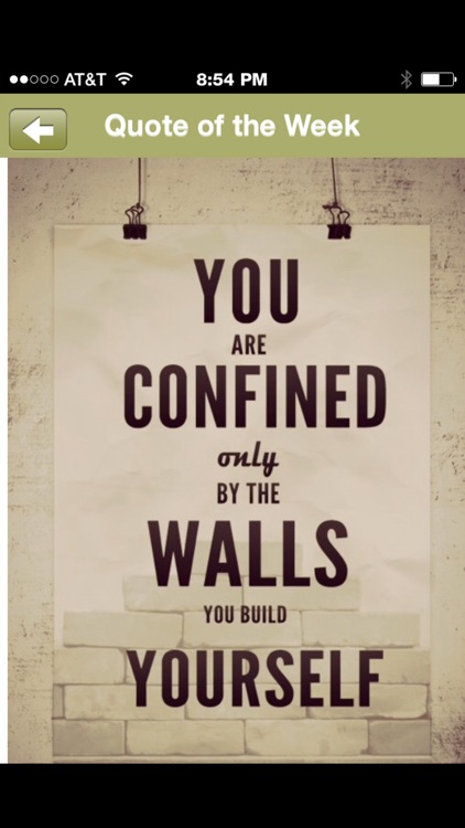 The Positivity Link screenshot-3