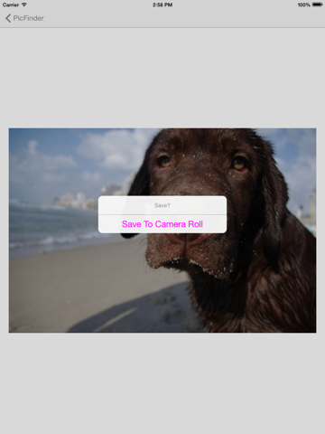 Screenshot #5 pour PicFinder