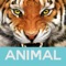 Guess The Animals Trivia - Reveal Pictures To Crack The Word (New Fun Puzzle)