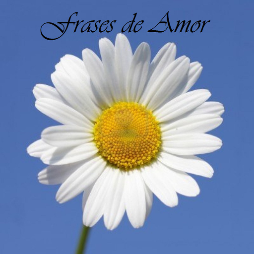 Frases y Consejos de Amor