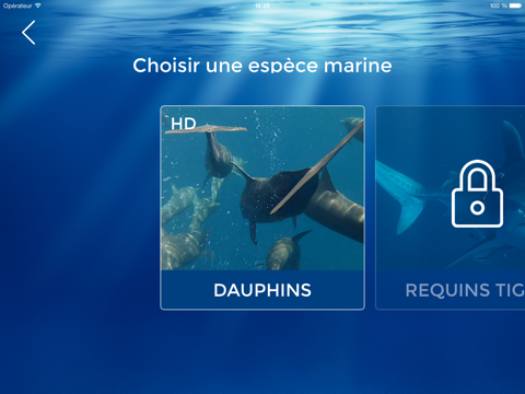 Screenshot #6 pour DiveFree