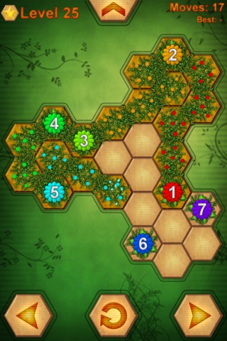 HexConnect - Nature screenshot 2