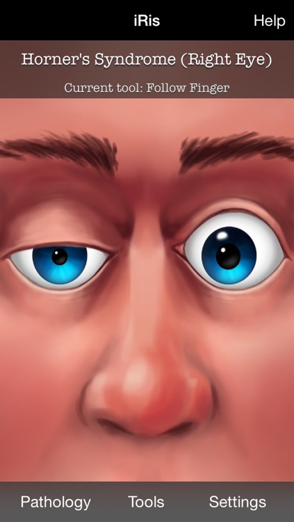 iRis Interactive
