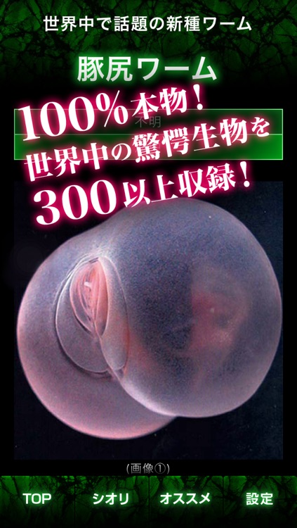 【閲覧注意】実在する謎の生物300以上!都市伝説なし!